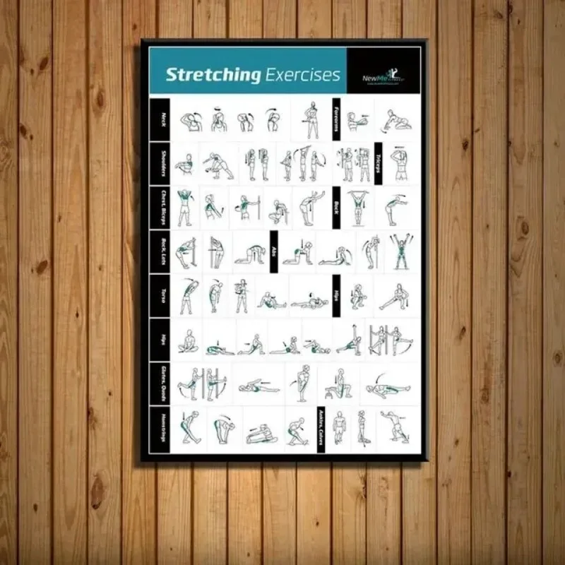 Body Exercise Training Chart G - Home Gym Minimalist recensione e prezzo