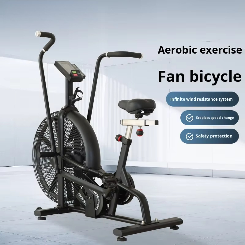 Commercial Wind Resistance Aer - Home Gym Bike recensione e prezzo