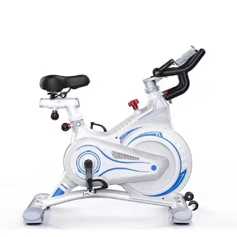 Hot Selling Best Cycling / Mag - Home Gym Bike recensione e prezzo