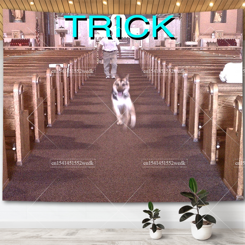 Alex G Trick Album Cover Tapes - Home Gym Decor recensione e prezzo